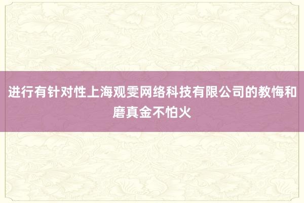 进行有针对性上海观雯网络科技有限公司的教悔和磨真金不怕火
