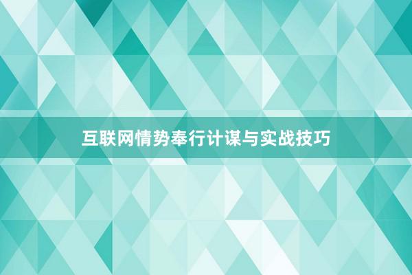 互联网情势奉行计谋与实战技巧