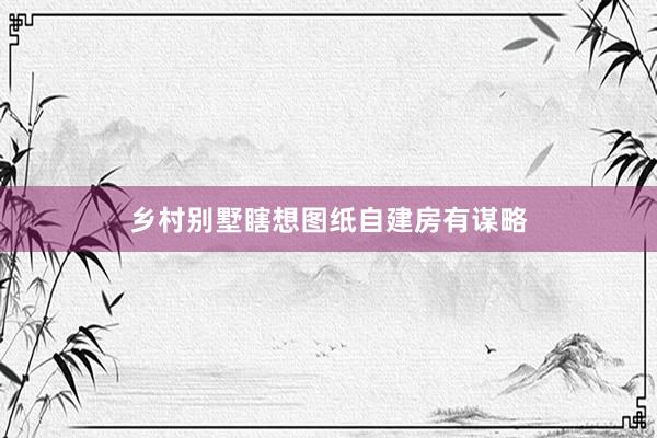 乡村别墅瞎想图纸自建房有谋略