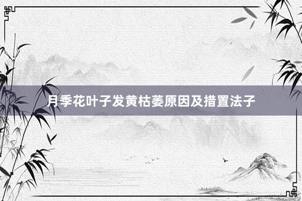 月季花叶子发黄枯萎原因及措置法子