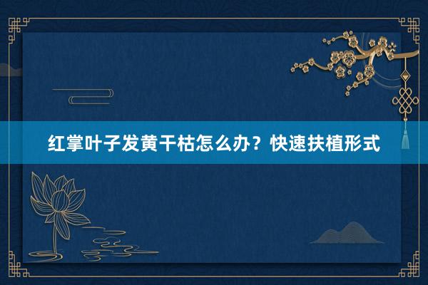 红掌叶子发黄干枯怎么办？快速扶植形式