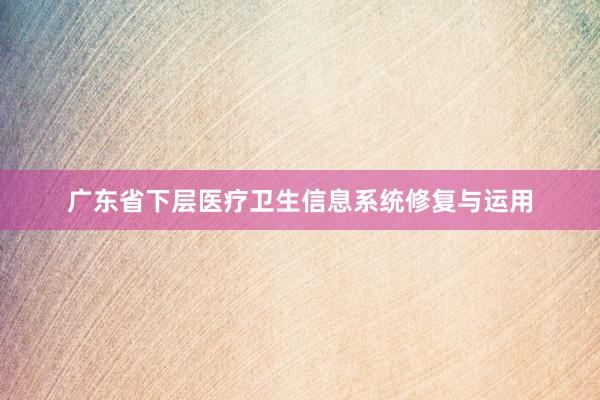 广东省下层医疗卫生信息系统修复与运用