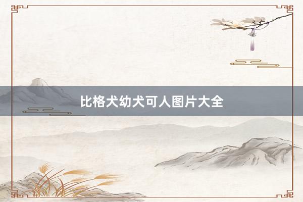 比格犬幼犬可人图片大全