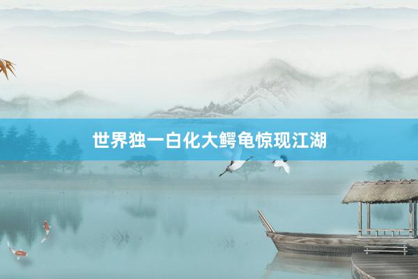 世界独一白化大鳄龟惊现江湖